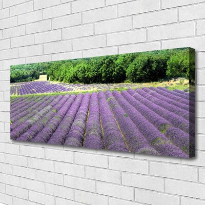 Canvas print Meadow flowers nature purple green