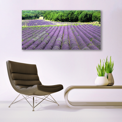Canvas print Meadow flowers nature purple green