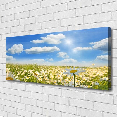 Canvas print Meadow daisies nature green blue white