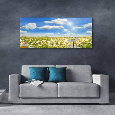 Canvas print Meadow daisies nature green blue white