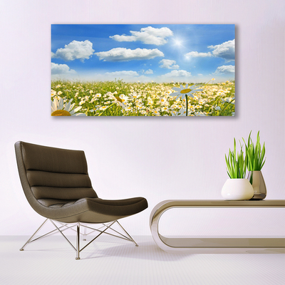 Canvas print Meadow daisies nature green blue white