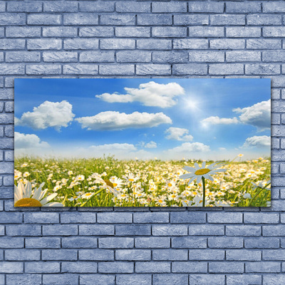 Canvas print Meadow daisies nature green blue white