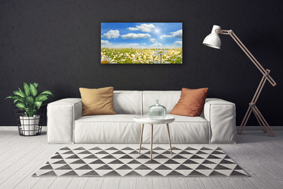 Canvas print Meadow daisies nature green blue white