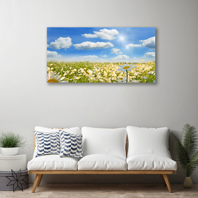 Canvas print Meadow daisies nature green blue white