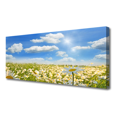 Canvas print Meadow daisies nature green blue white