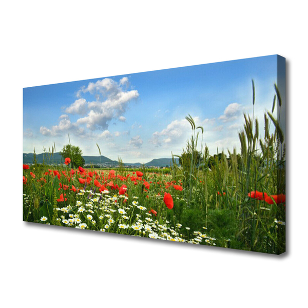 Canvas Wall art Meadow flowers nature green red white