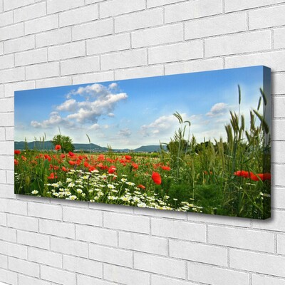 Canvas Wall art Meadow flowers nature green red white