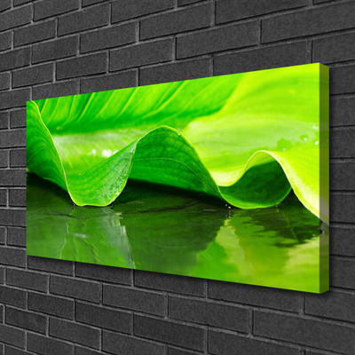 Canvas Wall art Leaf floral green