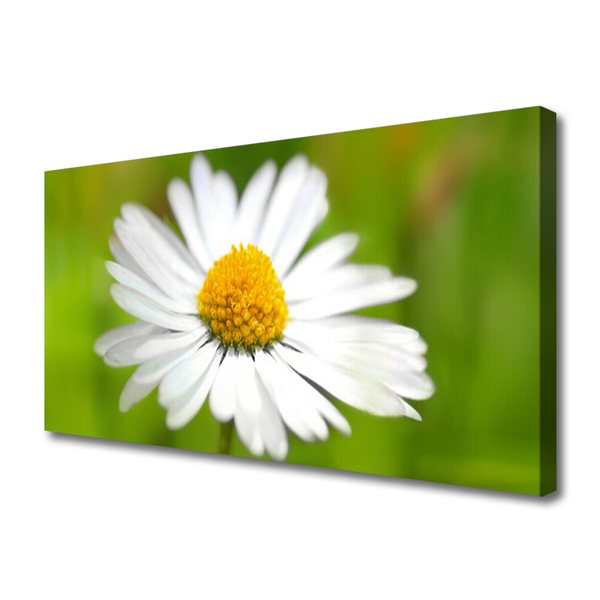 Canvas Wall art Daisy floral yellow white