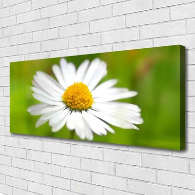 Canvas Wall art Daisy floral yellow white