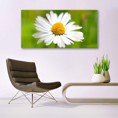 Canvas Wall art Daisy floral yellow white