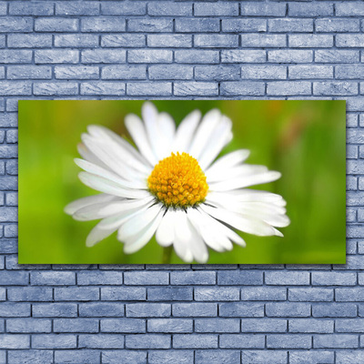 Canvas Wall art Daisy floral yellow white