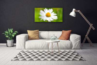 Canvas Wall art Daisy floral yellow white