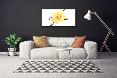 Canvas Wall art Flowers floral white yellow brown