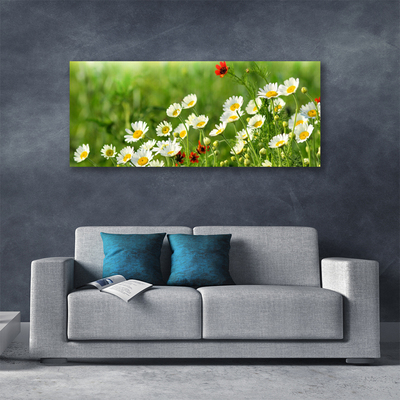 Canvas Wall art Daisy nature yellow white