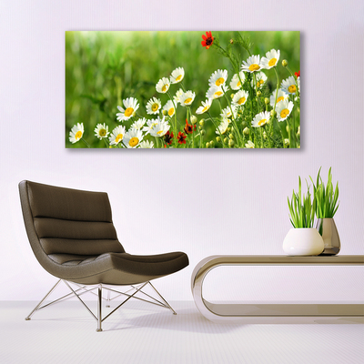 Canvas Wall art Daisy nature yellow white