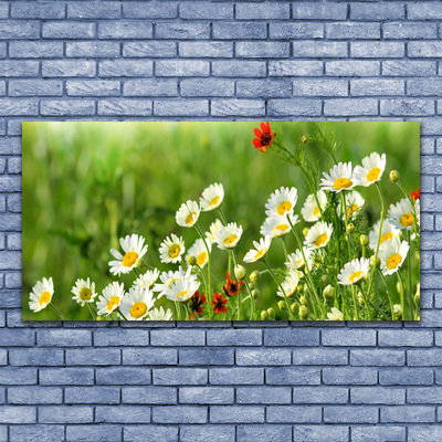 Canvas Wall art Daisy nature yellow white