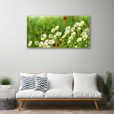 Canvas Wall art Daisy nature yellow white