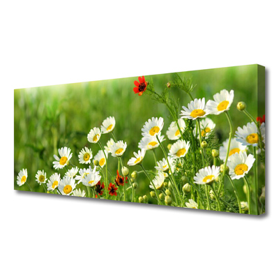 Canvas Wall art Daisy nature yellow white