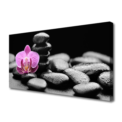 Canvas Wall art Flower stones art pink black