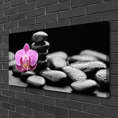 Canvas Wall art Flower stones art pink black