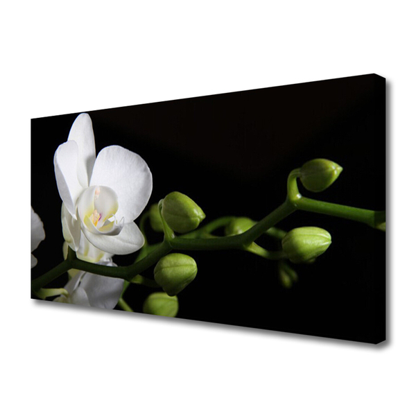 Canvas Wall art Flower floral white