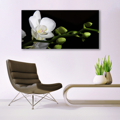 Canvas Wall art Flower floral white