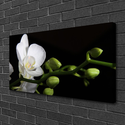 Canvas Wall art Flower floral white