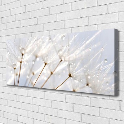 Canvas Wall art Dandelion floral white