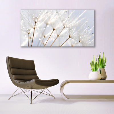 Canvas Wall art Dandelion floral white