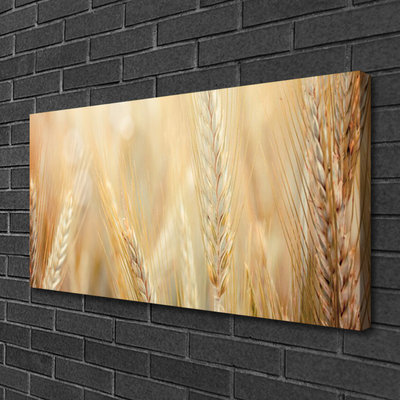 Canvas Wall art Wheat floral brown