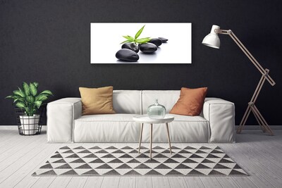 Canvas Wall art Stones art black