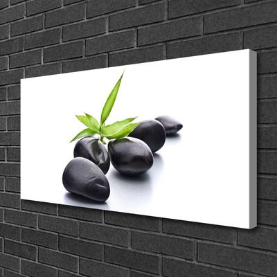 Canvas Wall art Stones art black