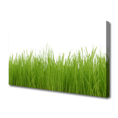 Canvas Wall art Grass nature green