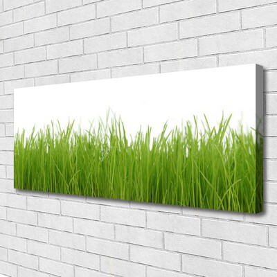 Canvas Wall art Grass nature green