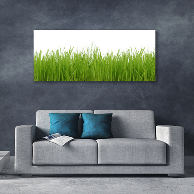 Canvas Wall art Grass nature green