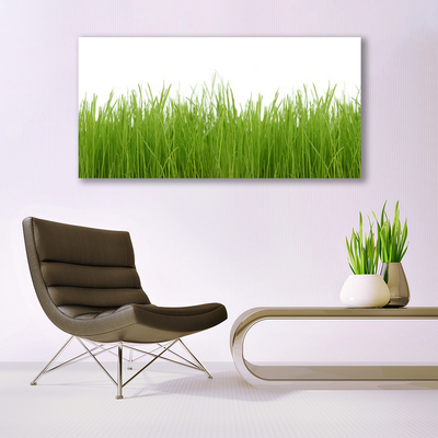 Canvas Wall art Grass nature green