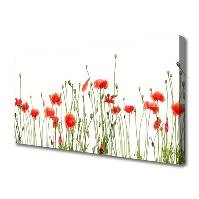 Canvas Wall art Poppies floral red green