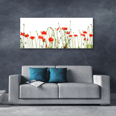 Canvas Wall art Poppies floral red green