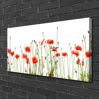 Canvas Wall art Poppies floral red green