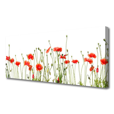 Canvas Wall art Poppies floral red green