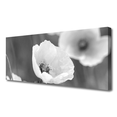 Canvas Wall art Poppies floral grey