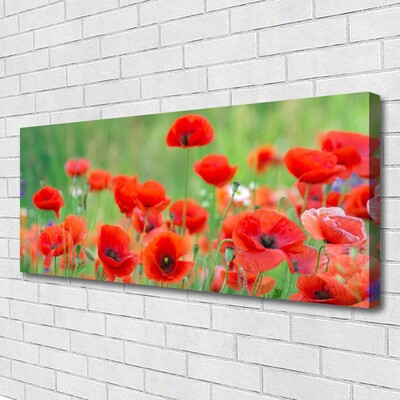 Canvas Wall art Poppies floral red black