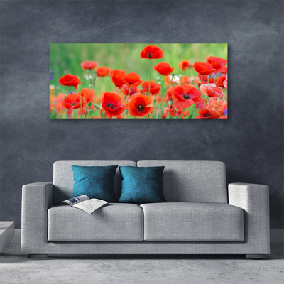 Canvas Wall art Poppies floral red black