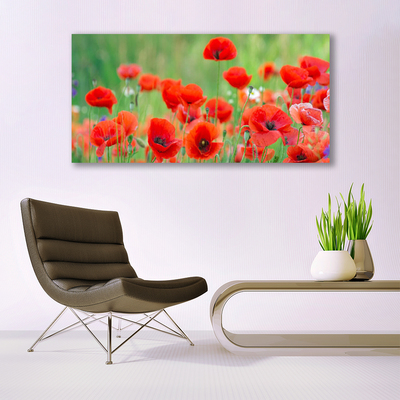 Canvas Wall art Poppies floral red black