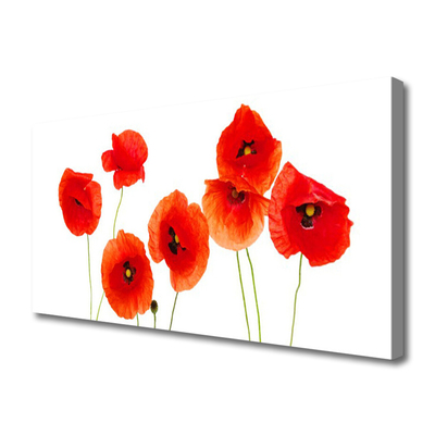 Canvas Wall art Poppies floral red black