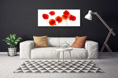 Canvas Wall art Poppies floral red black