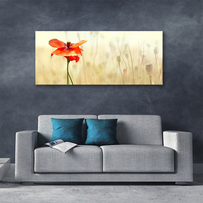 Canvas Wall art Poppy floral red green