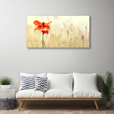 Canvas Wall art Poppy floral red green