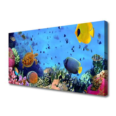 Canvas Wall art Coral reef nature multi